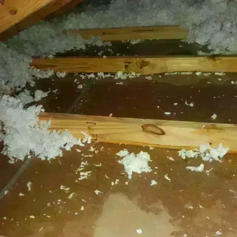 Attic Water Damage in Hico, TX